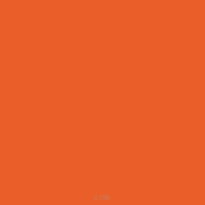 024 Bright Orange