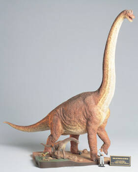 Brachiosaurus Diorama